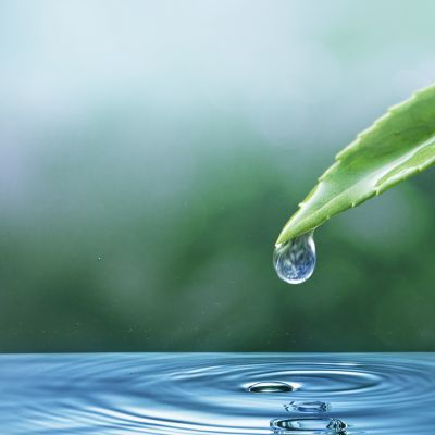 Carbone et eau, ce couple à mettre en lumière