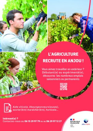 Agriculture Anjou